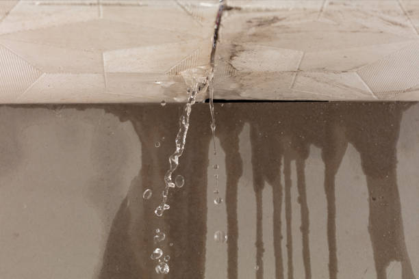Professional Burst Pipe Cleanup technician working in Larsen, WI